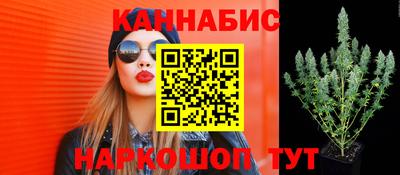 мяу мяу мука Апшеронск