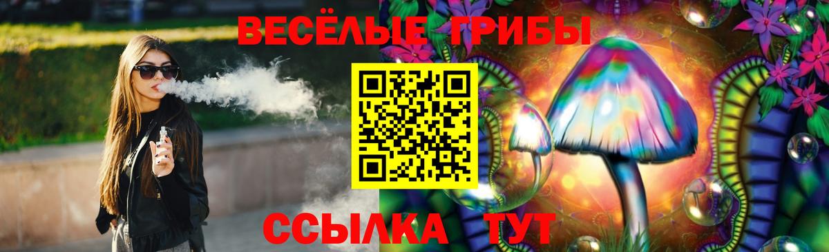 Галлюциногенные грибы Cubensis  Берёзовский 
